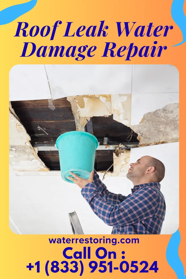 Roof Leak Water Damage Repair in Loup City, NE